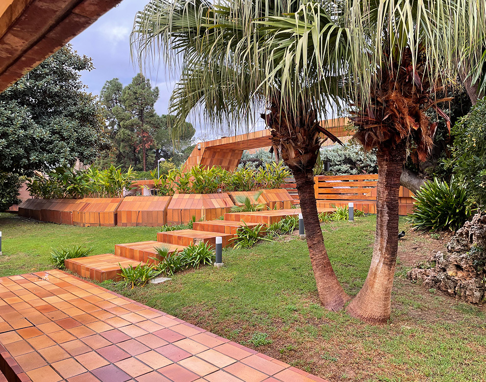 palmera singular